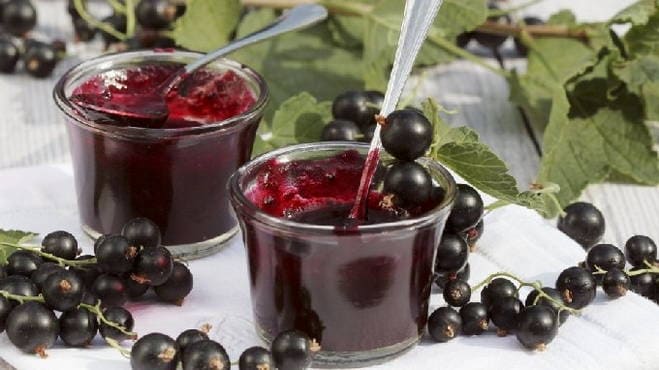 Ribes nero, schiacciato con lo zucchero, senza cottura per l'inverno