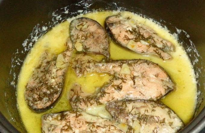Rosa Lachs in einem Slow Cooker mit Sauerrahmsauce