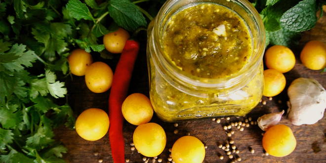 Tkemali aus gelber Kirschpflaume mit Suneli-Hopfen