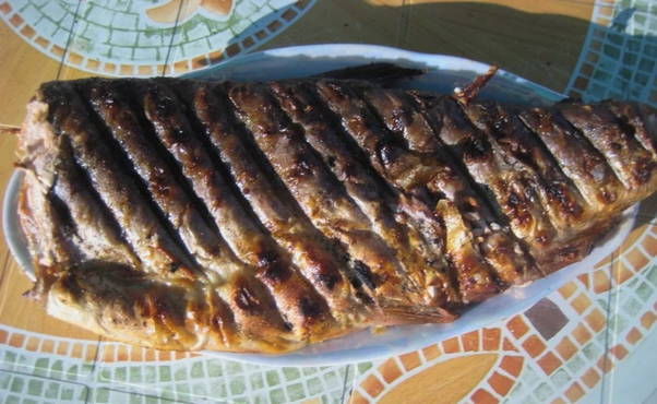Salmone rosa alla brace