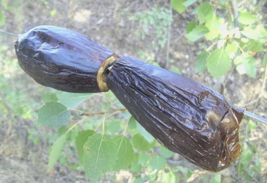 Melanzane intere alla griglia