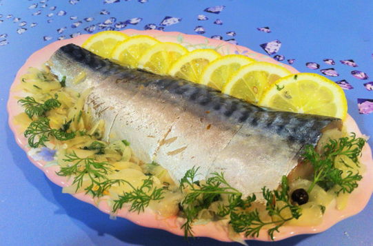 Eingelegte Makrele mit Zitrone
