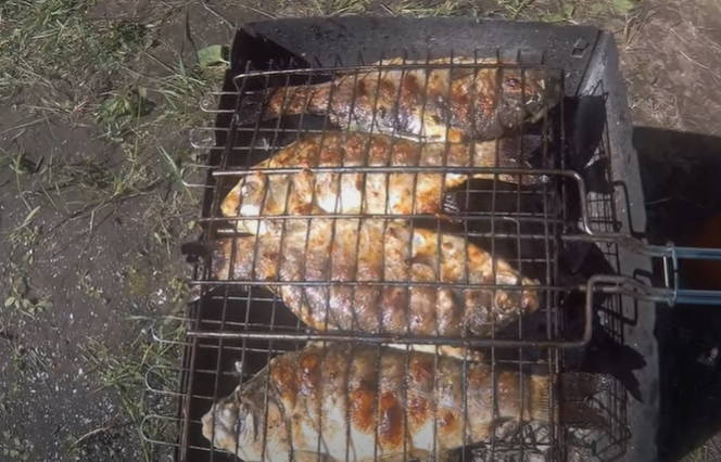 Carassi marinati su una griglia alla griglia