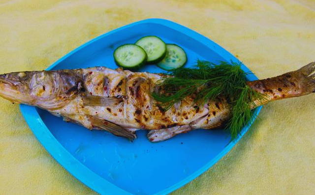 Gegrillter Zander auf dem Grill
