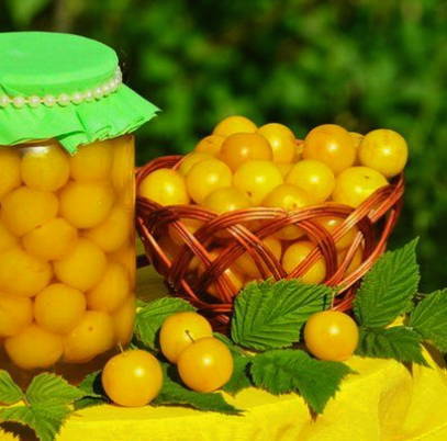 Kirsebærblomme i sirup til vinteren uden sterilisering