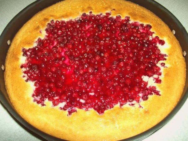 Torta di mirtilli rossi senza lievito