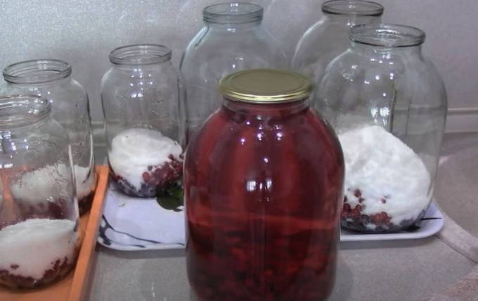Rote Johannisbeer-Kirsch-Kompott im 3-Liter-Glas für den Winter