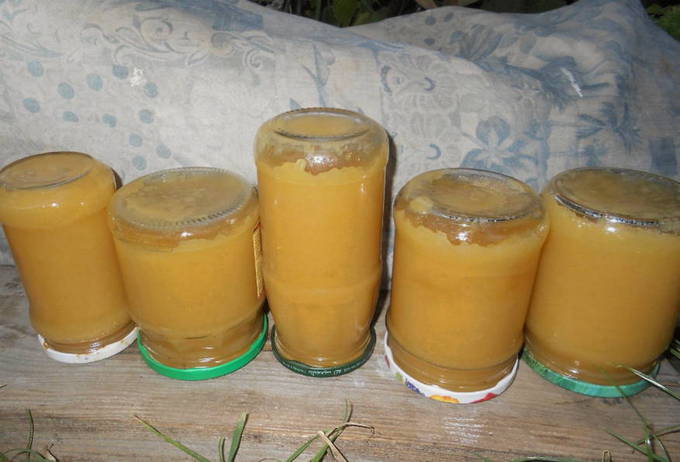Appelmoes met citroenzuur voor de winter