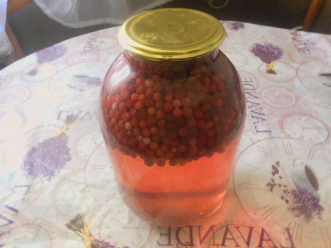 Preiselbeer-Apfel-Kompott ohne Sterilisation im 3-Liter-Glas für den Winter