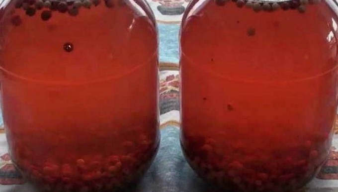 Preiselbeerkompott für ein 3 Liter Glas ohne Sterilisation für den Winter