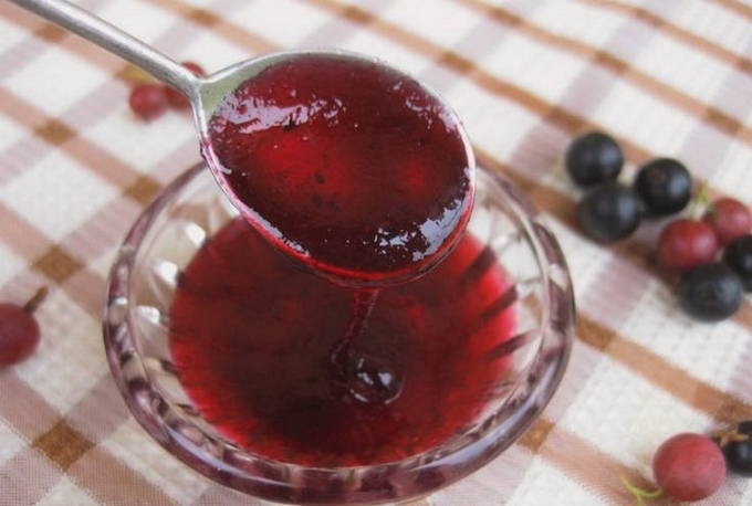 Schwarze Johannisbeere und Stachelbeergelee für den Winter