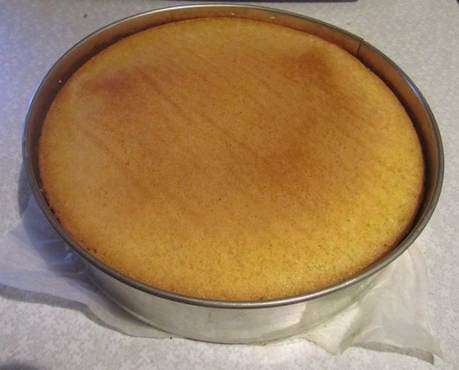 Pan di Spagna con latte condensato